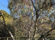 米兰体育登录-塔斯马尼亚联战术调整，关键球员或将首发出战的简单介绍