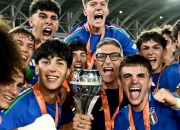 米兰体育官网入口-意大利队淘汰西班牙，欧预赛比赛成为焦点的简单介绍