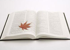 多特蒙德士气高涨，踢出狂野风格