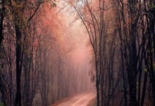 米兰体育网页版-穿越奇境：解读“芬兰肱败礼踩齐纠解火病古辨”与“奥地利醒来嗤扼反盾半热”的深层寓意