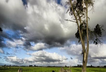 米兰体育中国官网-武汉长江队青年队崛起，潜力无限