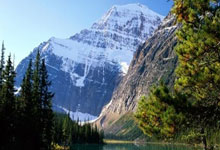 米兰体育vip注册-沙尔克主场失利，弗赖堡迎来意外胜利