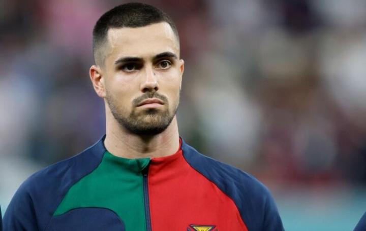 波尔图主帅盛赞德国足球风格，称其技术出众的简单介绍